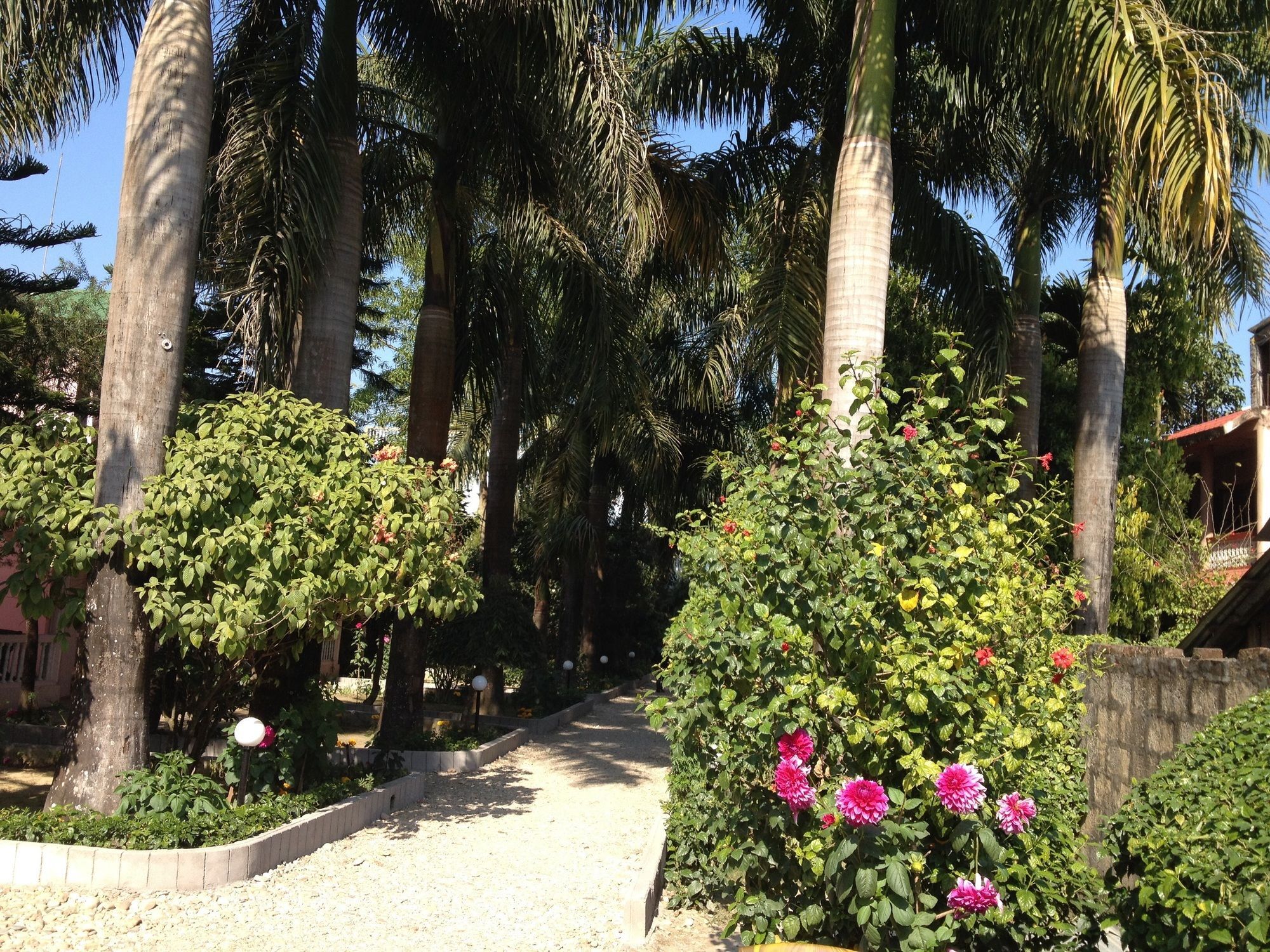 Ama Garden Sauraha Hotel Exterior photo
